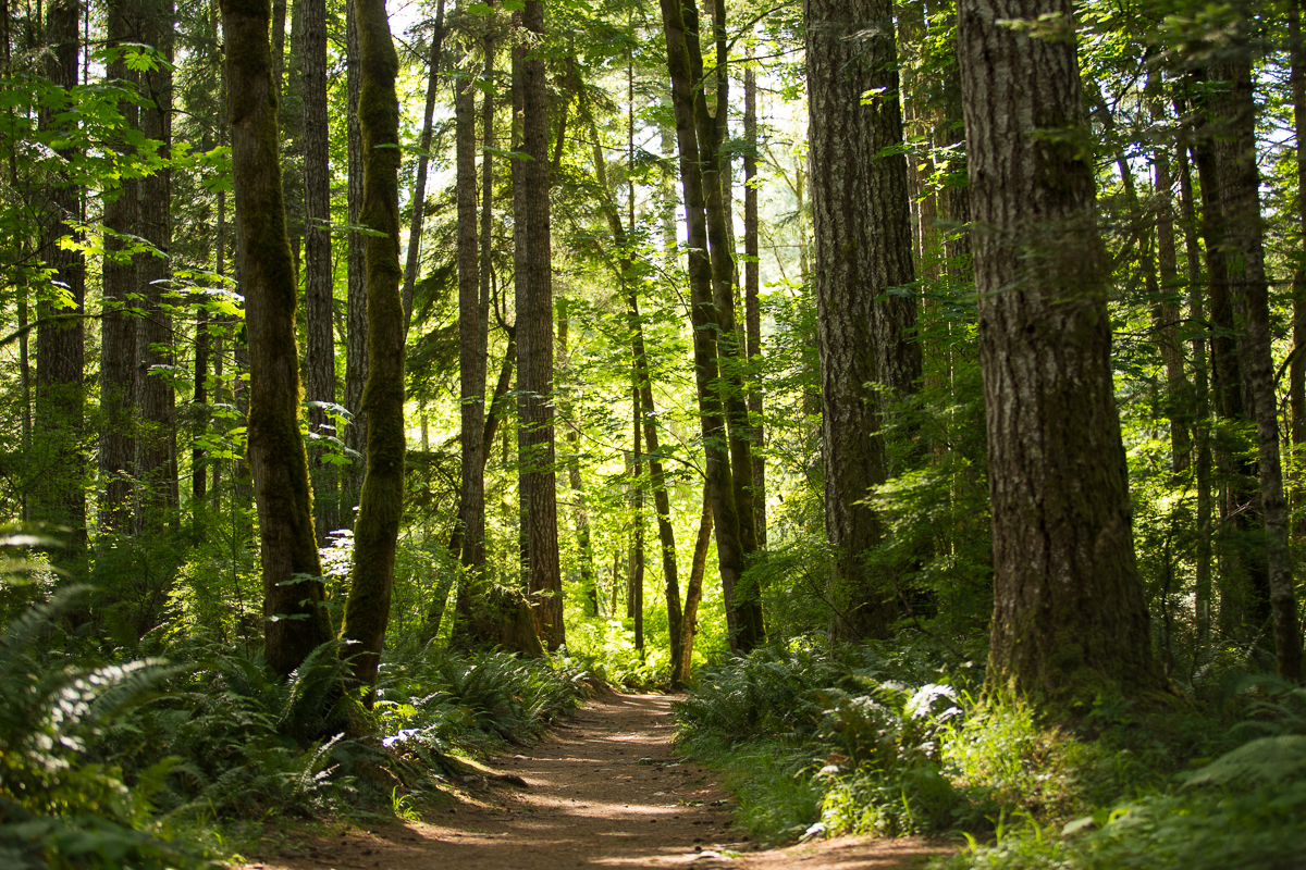 Featured Destination: Seal Bay